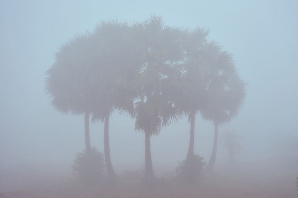 Photograph by Shohel Rana