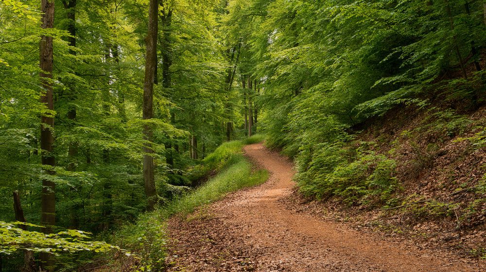 Photograph by Alexandr Zypin