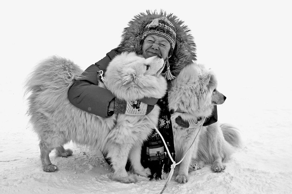 Добрые друзья