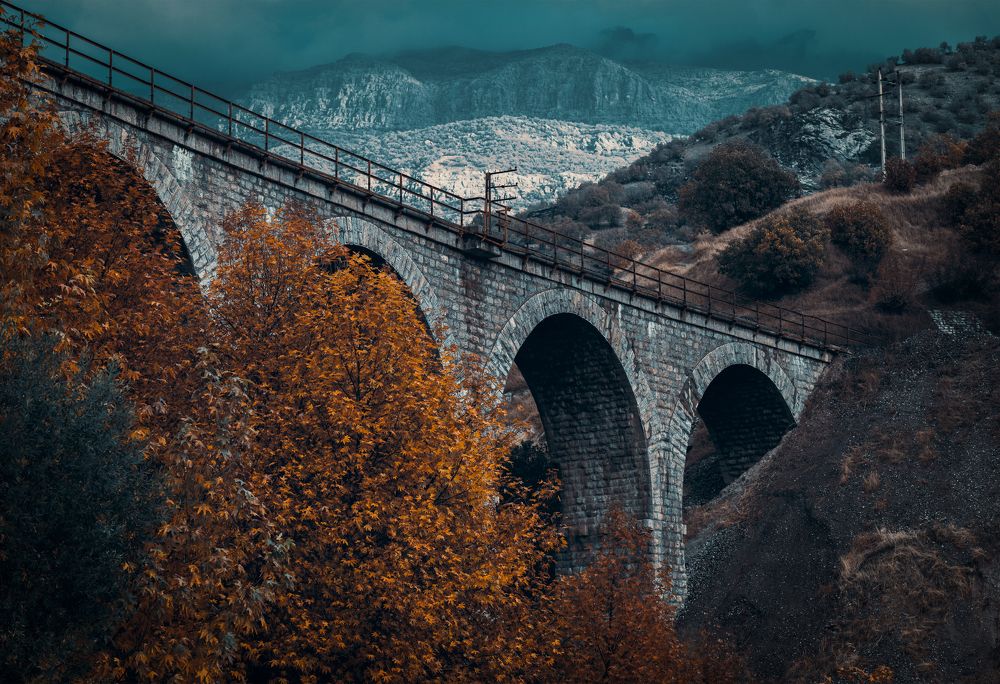 Фотография автора Arash Kaviani