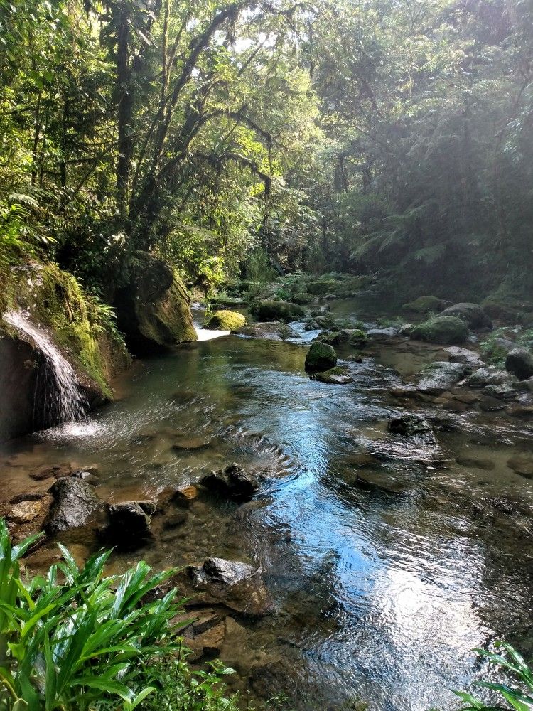 Photograph by José Luis Mendoza Machado