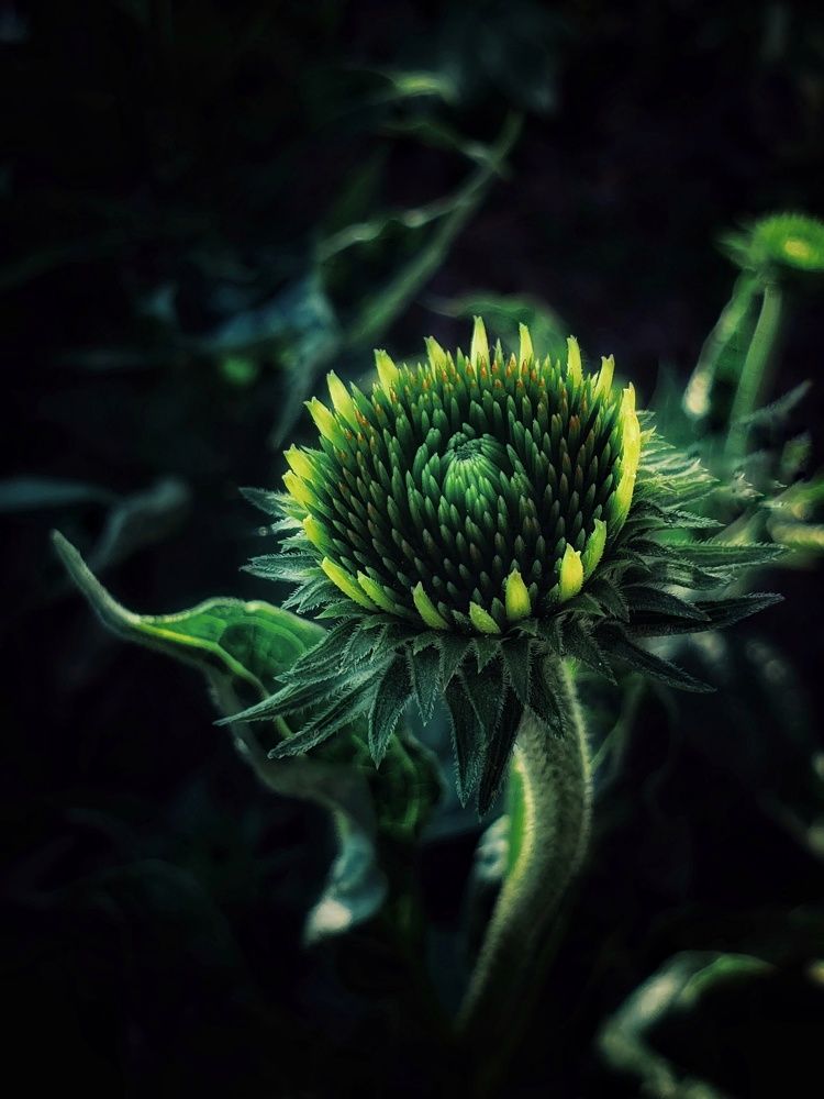 Photograph by Нина Москалёва