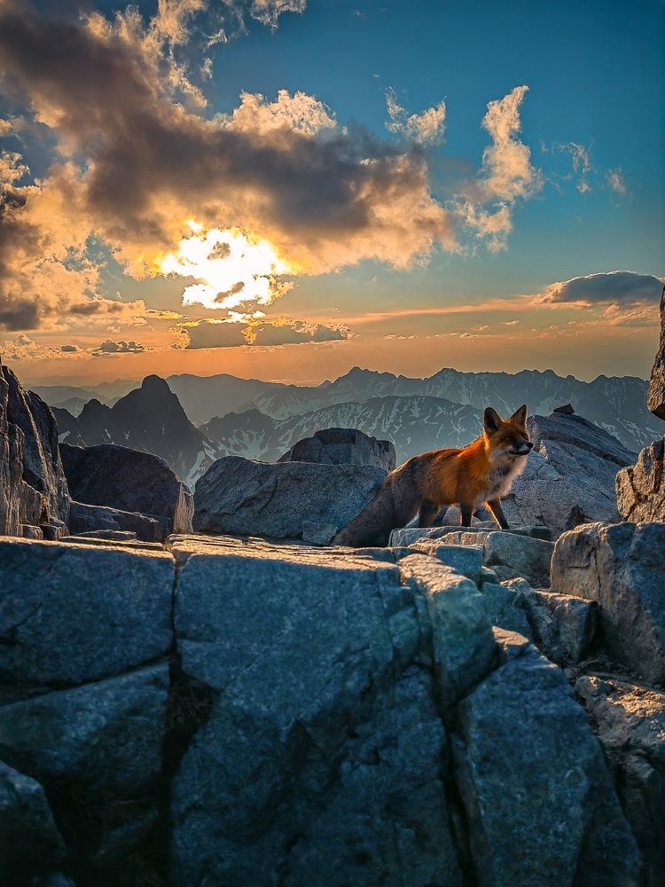 Photograph by Paweł