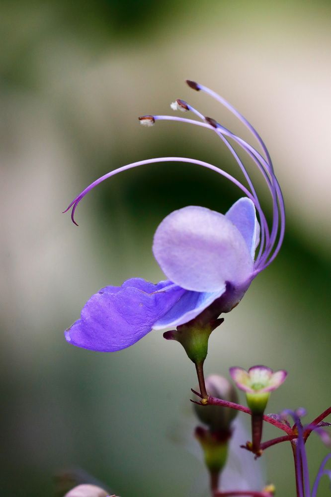 Photograph by Ricardo Vergara