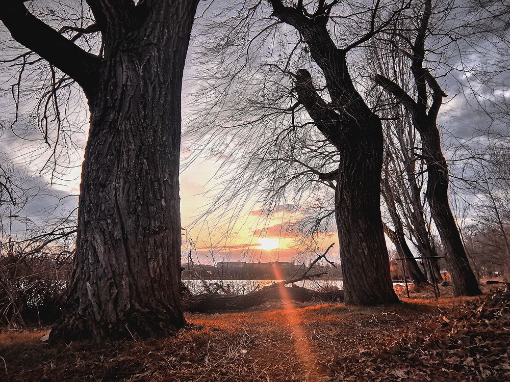 Photograph by Владимир Каюков