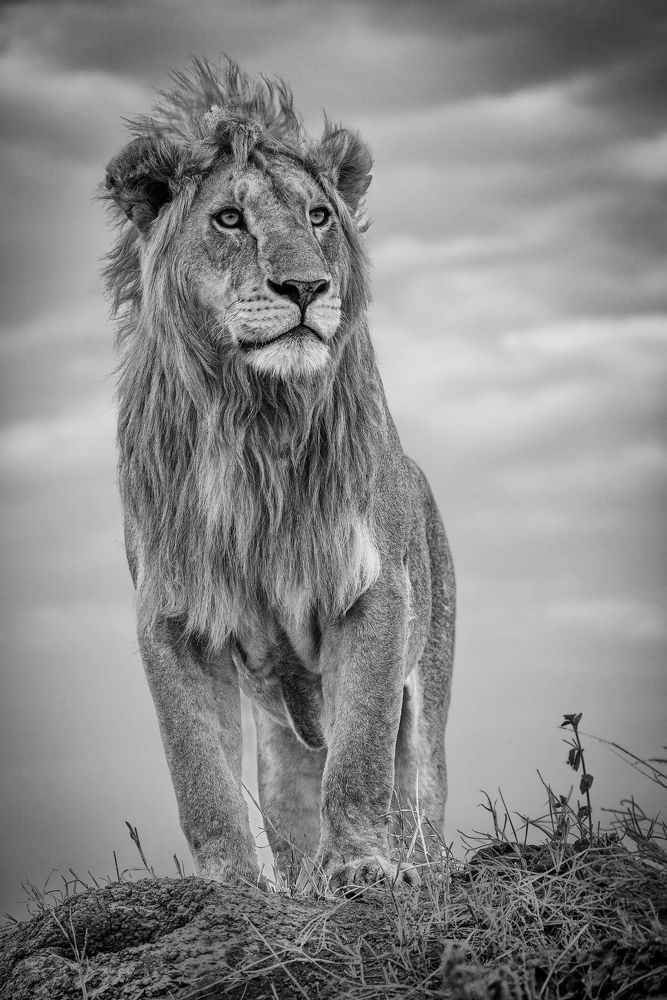 Photograph by Ali Khataw