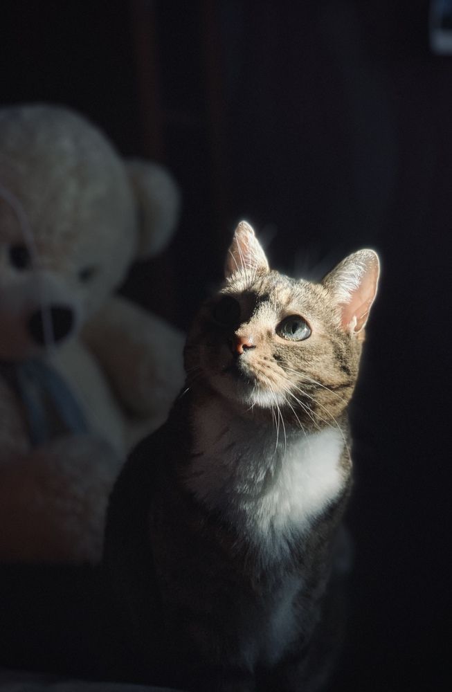 Photograph by Екатерина Лопырева