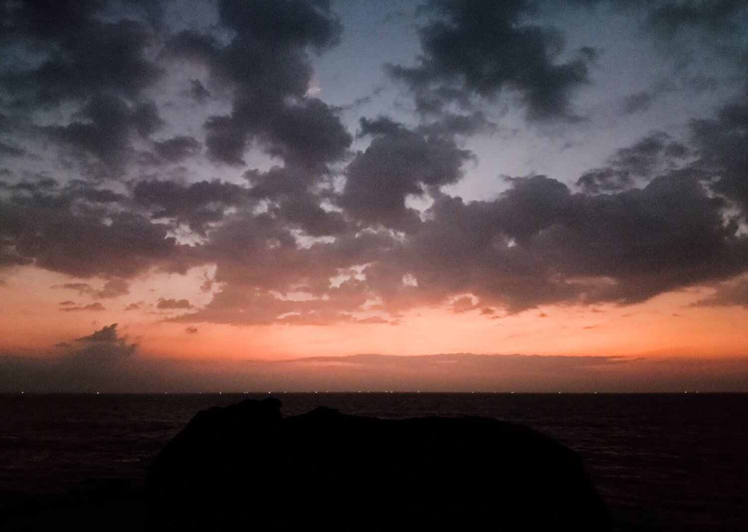 Photo #10272691
