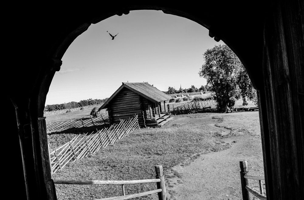 Photograph by Aleksandra