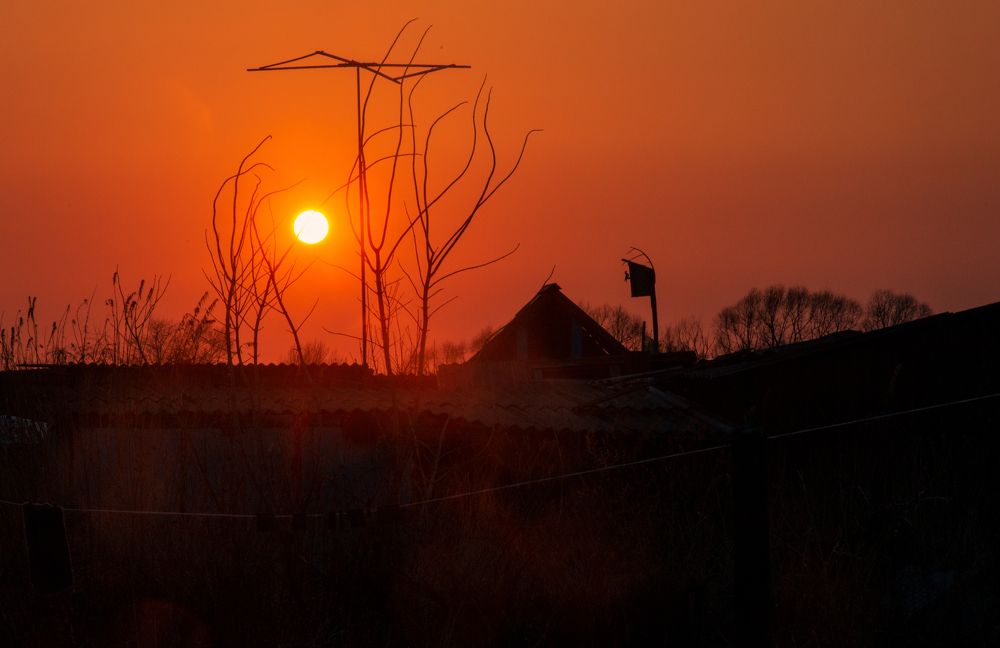 Photograph by Матвей Краузе