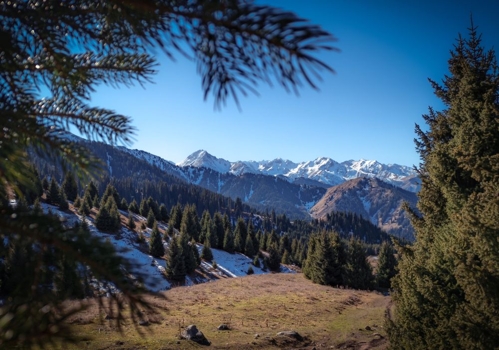 Photograph by Bogdan Karabak