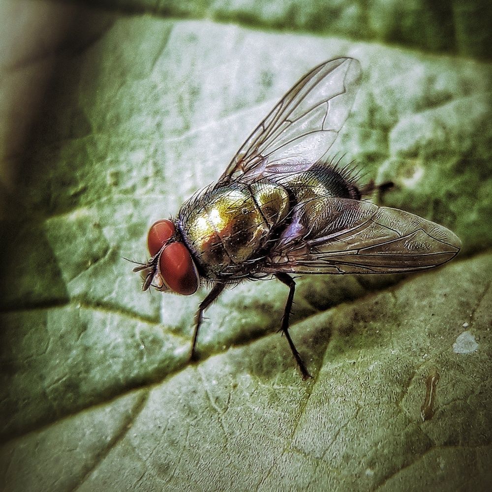 Photograph by Марина