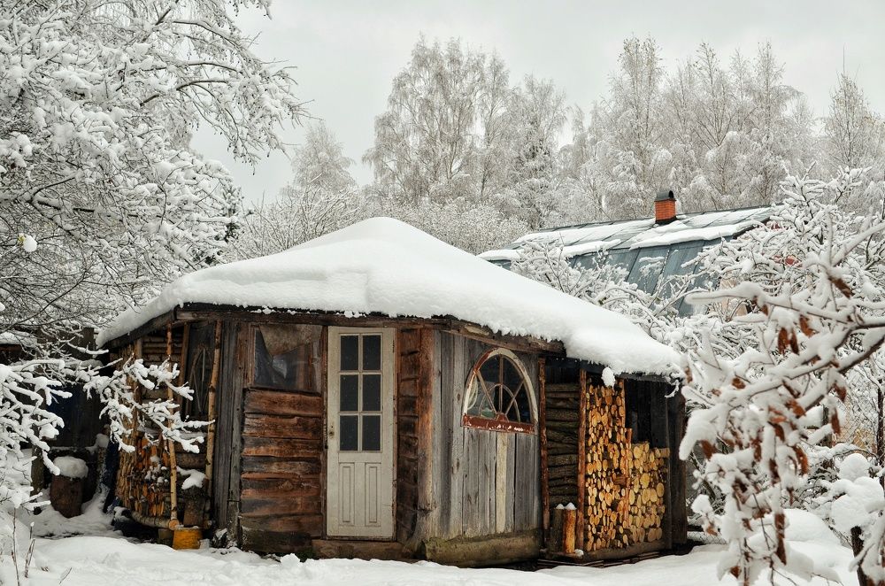 Фотография автора Olga Belikova