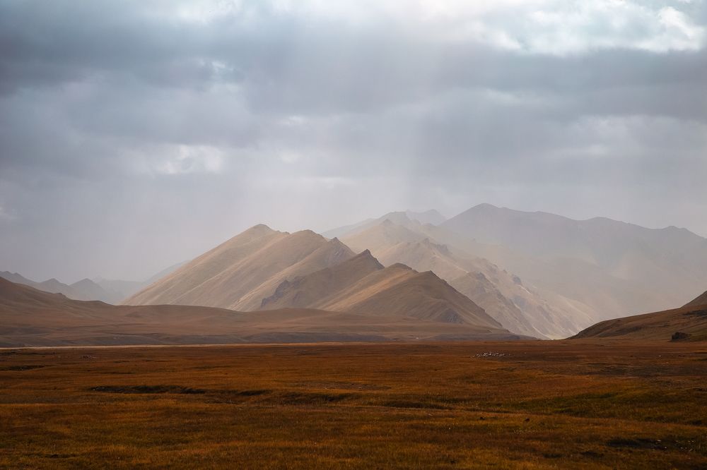 Солнечный дождь