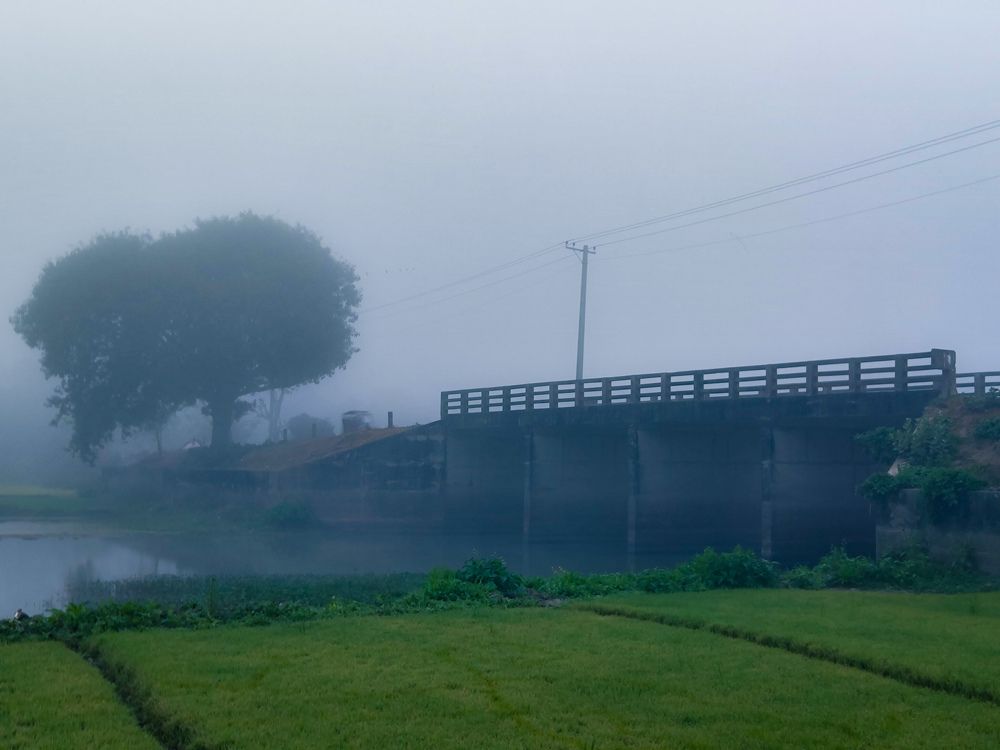 Photograph by Abu Darda