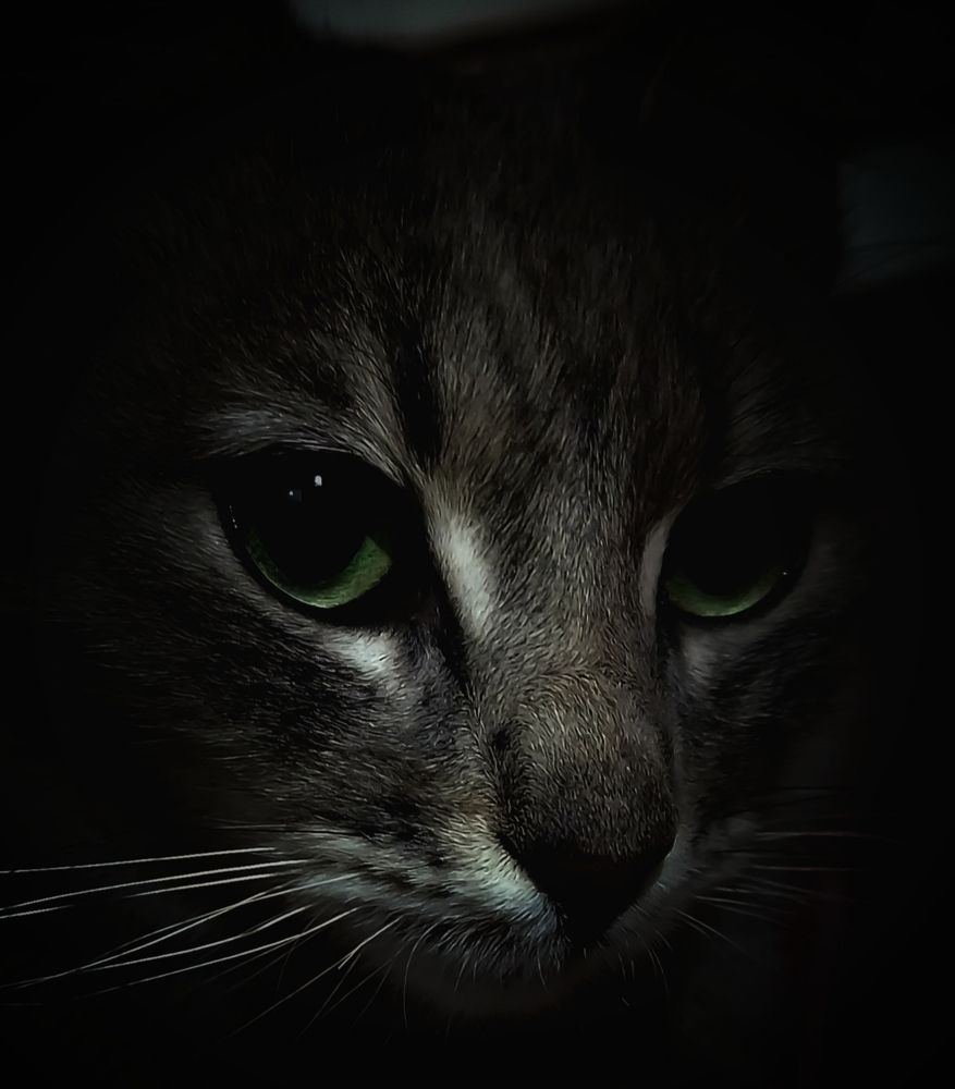 Focus