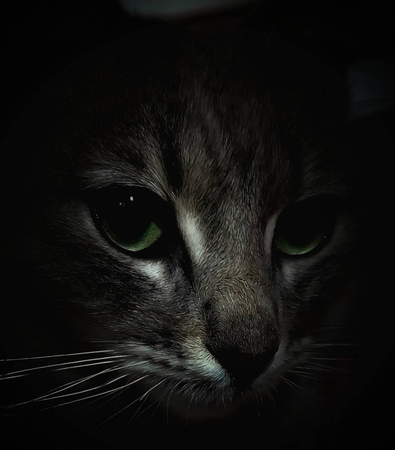 Focus