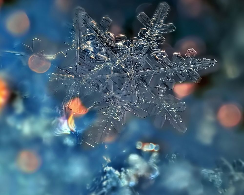 Photograph by Кузнецов Дмитрий