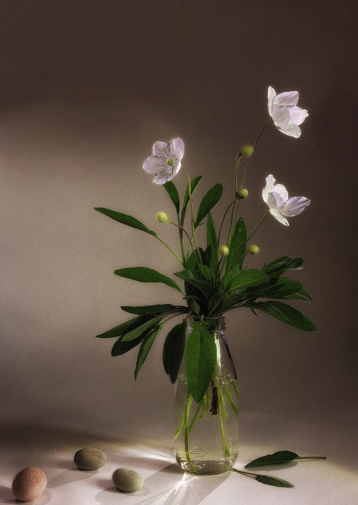 Photograph by Ольга Бакурская