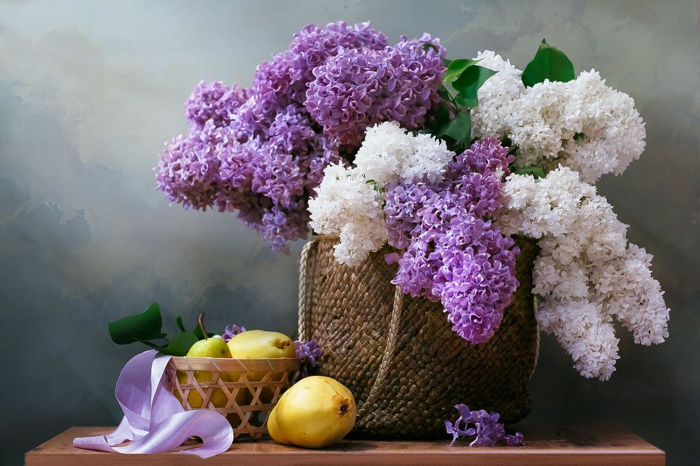 Душистые облака сирени