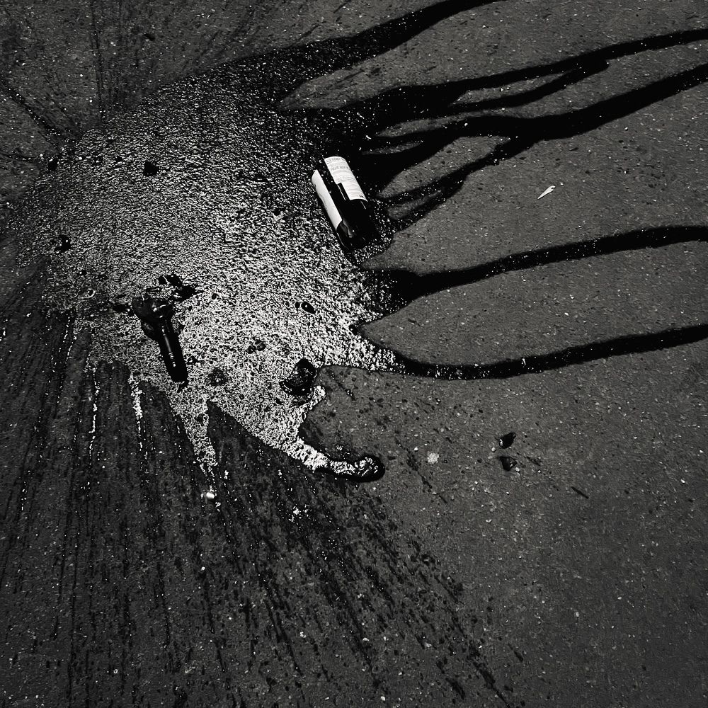 Photograph by Tania Litmanovich