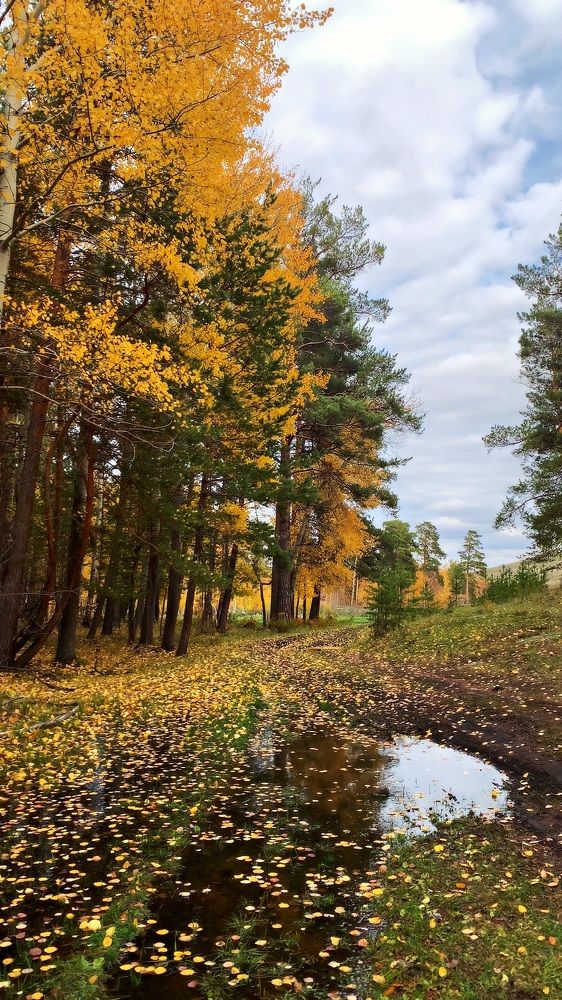 Photograph by Плеханова Гульшат