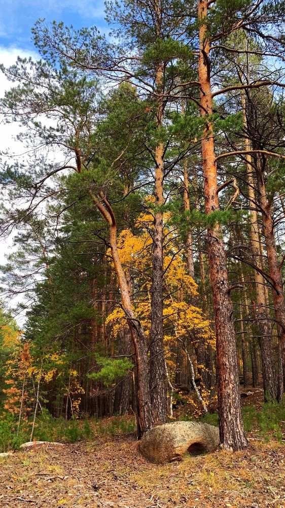 Уникальные виды Каркаралинска