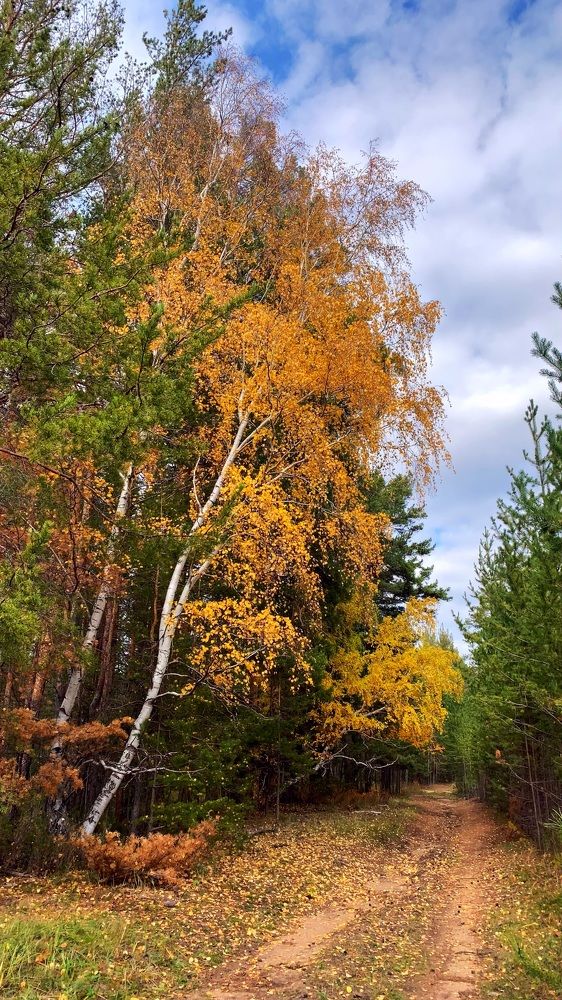 Уникальная природа Каркаралинска.