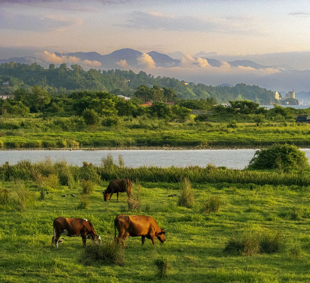 Photograph by Alex Kalpus