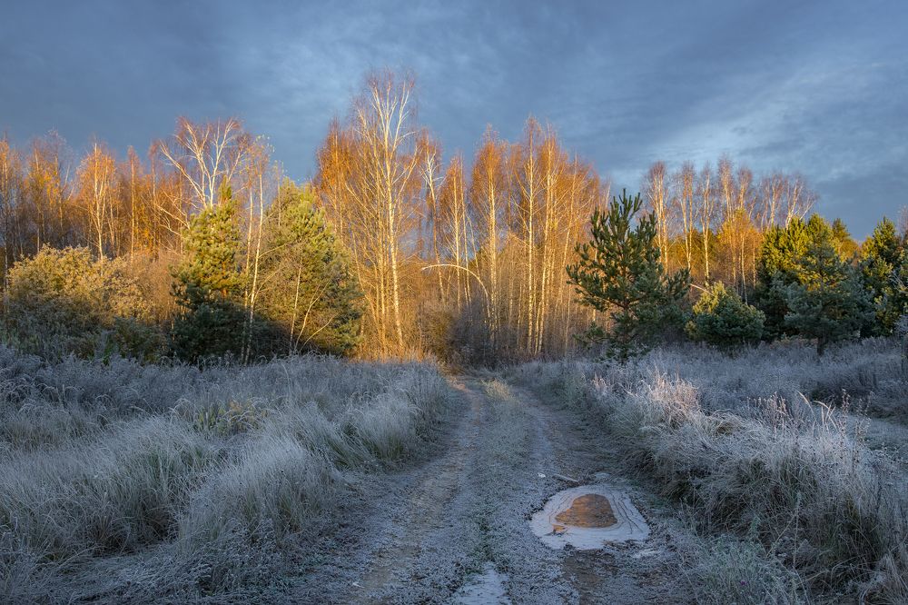 Photograph by Дмитрий Алексеев