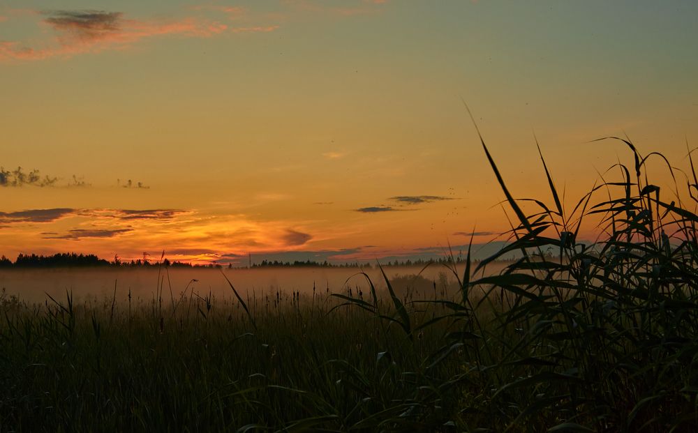 Photograph by Василий Шевчук