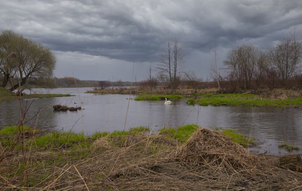Photograph by Дмитрий Поляков