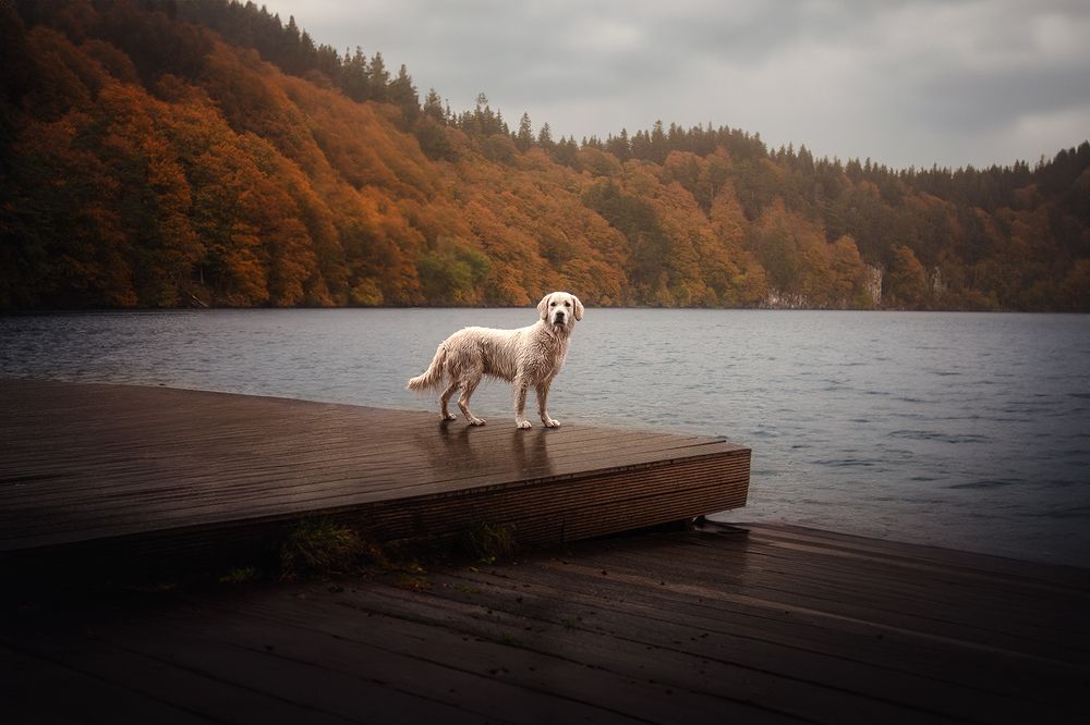 Photograph by Laura Quintanel