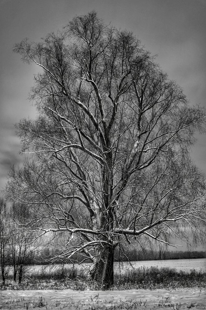 Photograph by Сергей Конюшенко