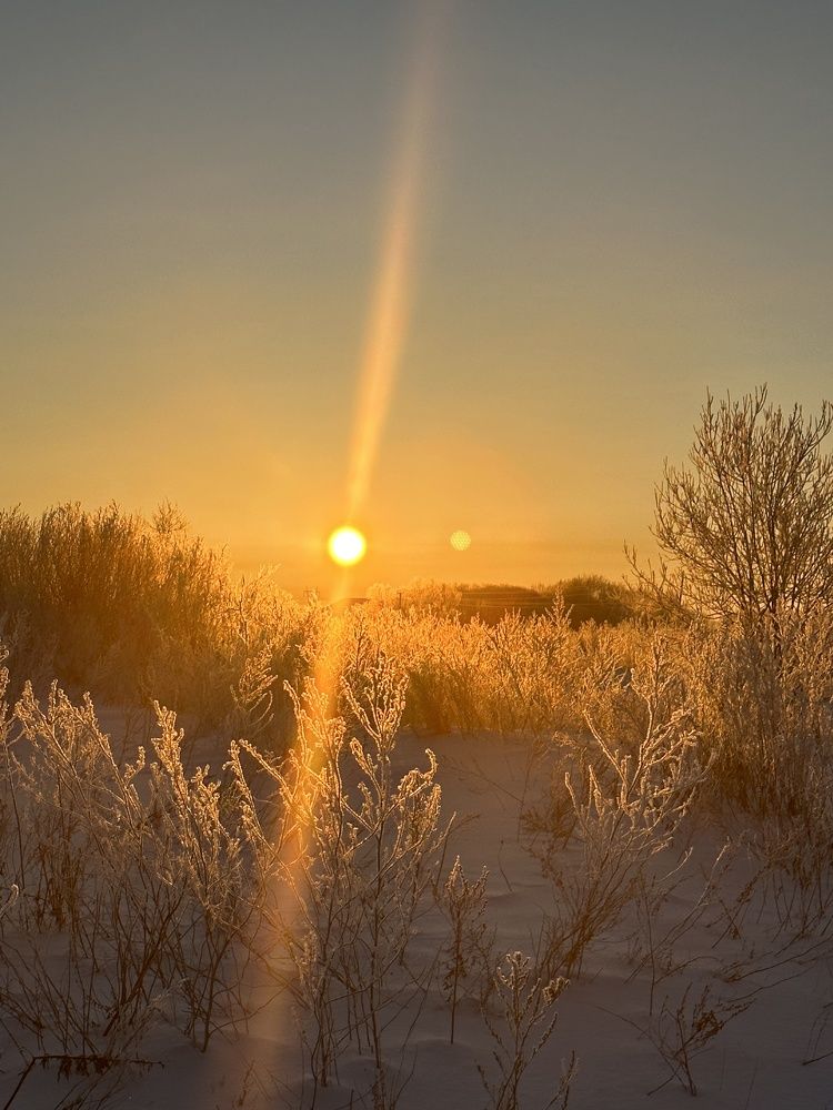 Photograph by Татьяна Двойченкова