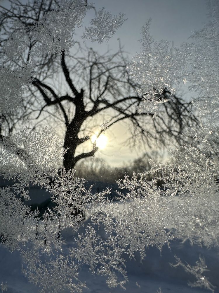 Морозное утро