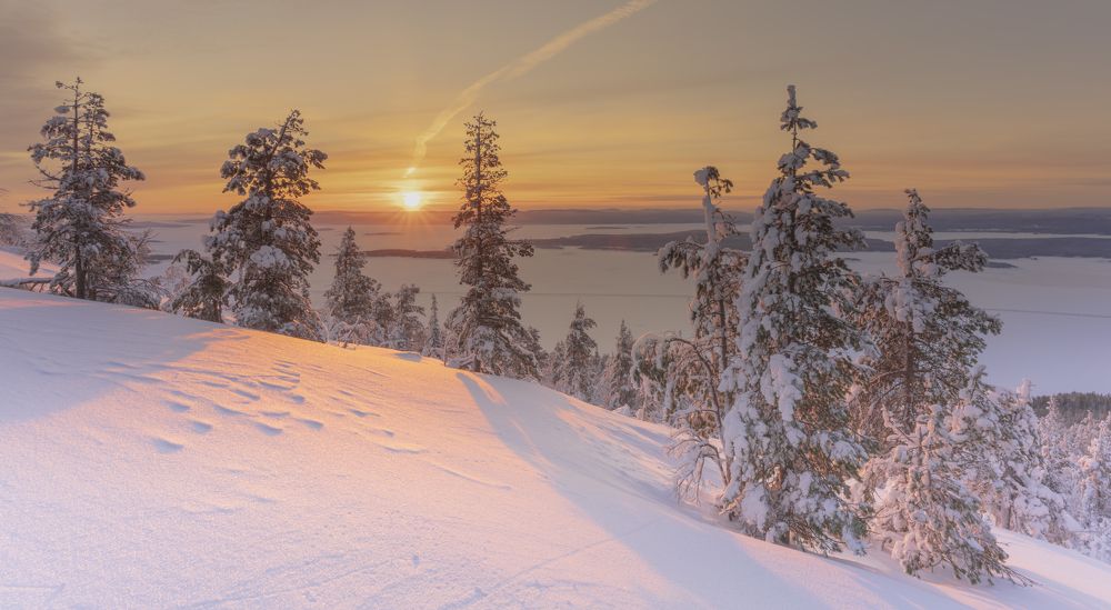 Photograph by Илья Еремеев