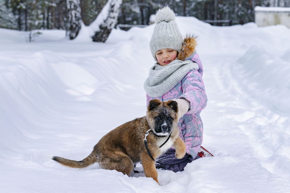 Фотография автора Лариса Корсакова