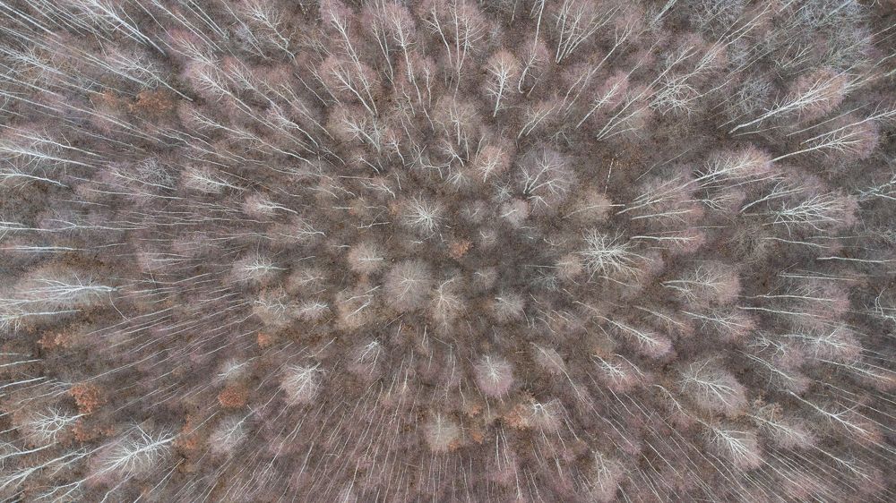 Photograph by Leanid Kulpo