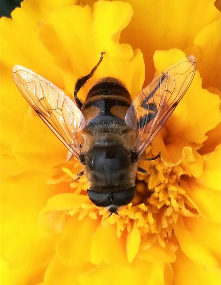 Photograph by Evgeniya Burkaeva