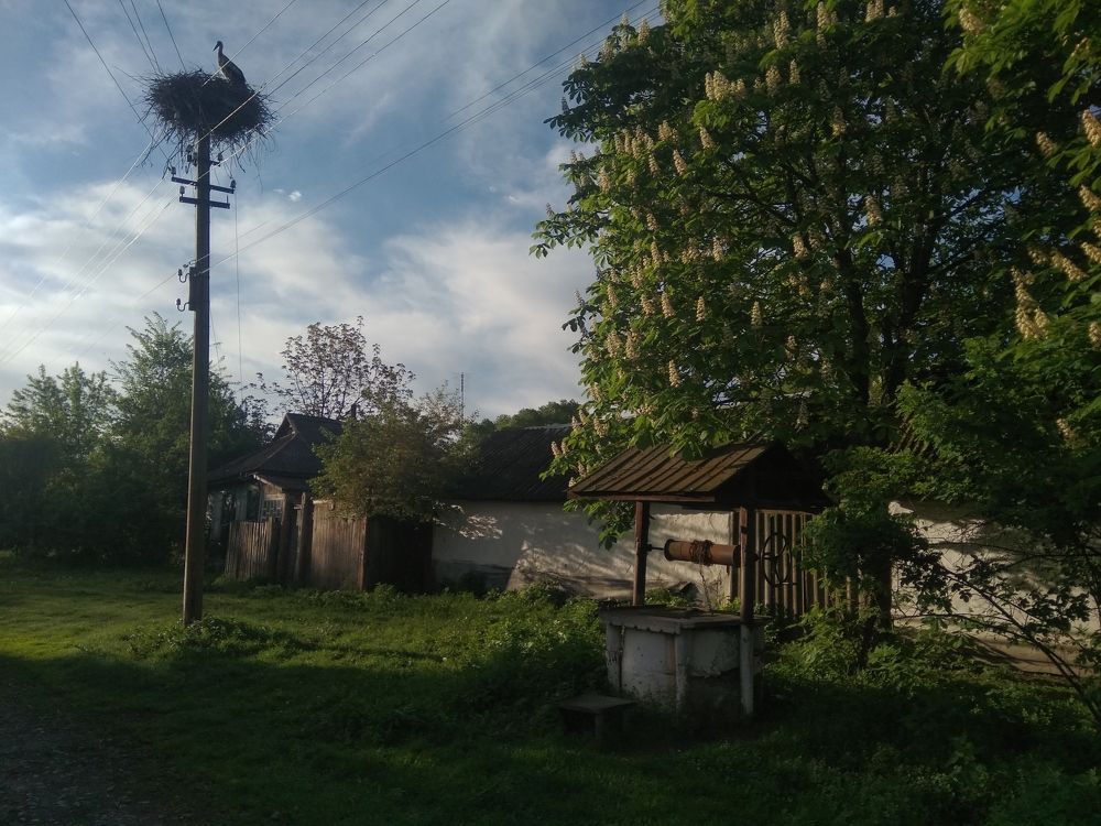 Photograph by Галина Лысых