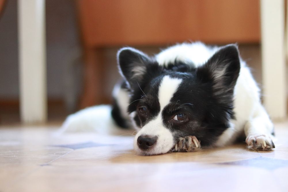 Photograph by Александра Седайкина