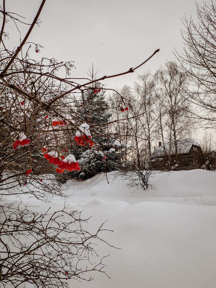 Photograph by Любовь Харитонова