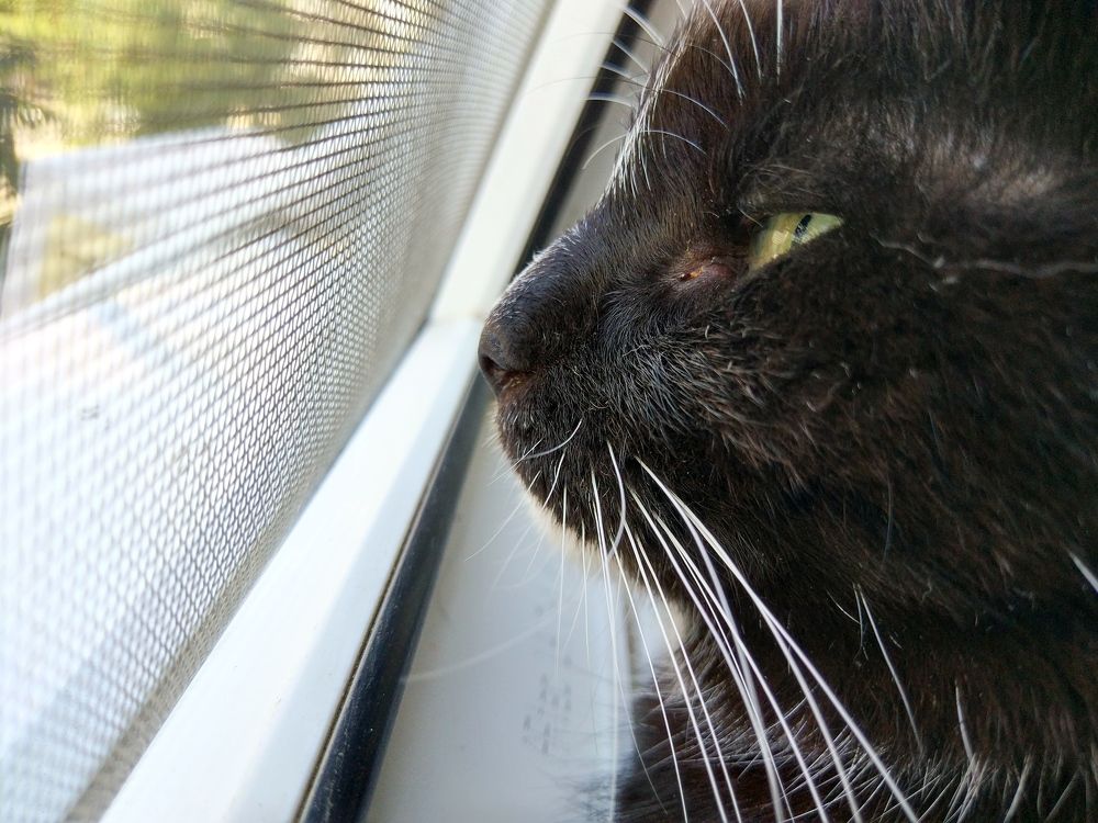 Photograph by Александра Седайкина