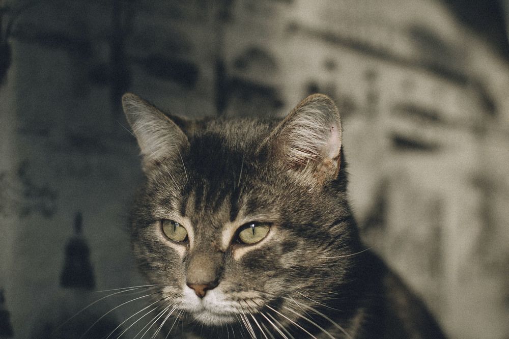 Photograph by Андрей Астафьев