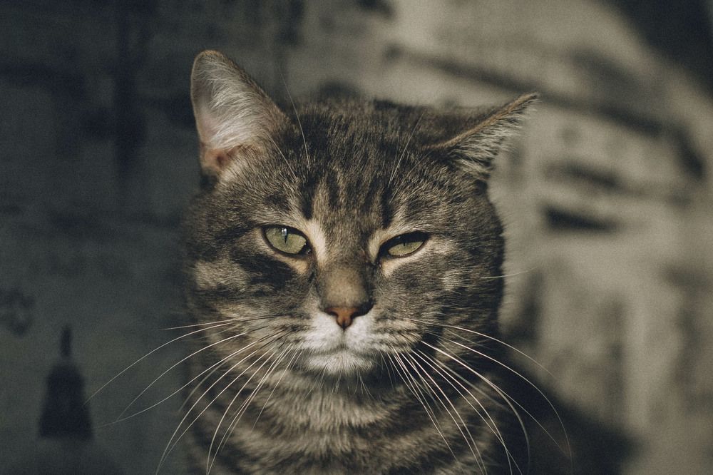 Photograph by Андрей Астафьев