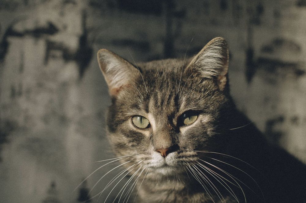 Photograph by Андрей Астафьев