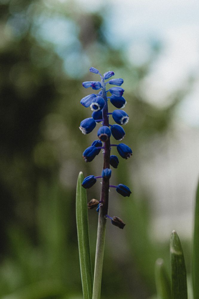 Photograph by Диана Козел