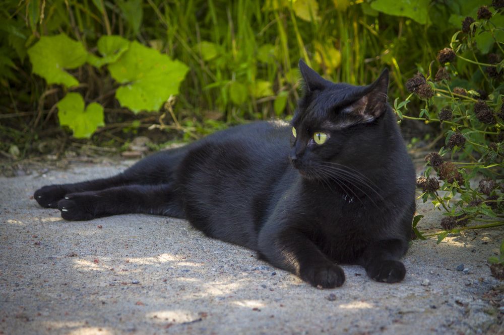 Photograph by Вячеслав Булатов