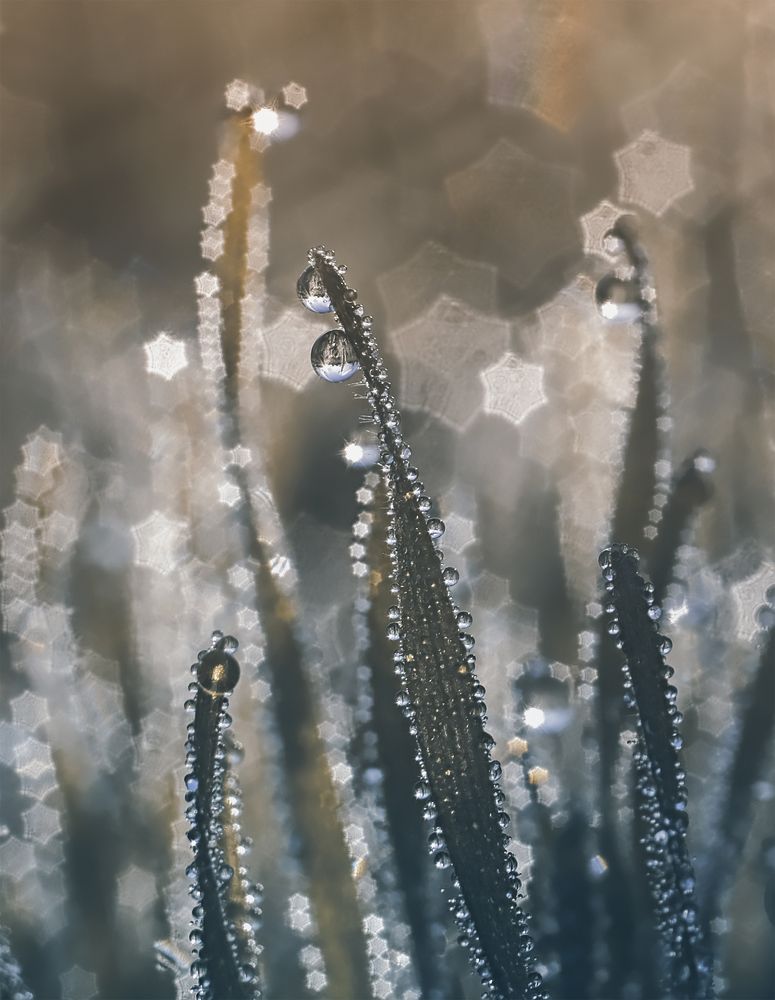 Photograph by Natalia Bolotenkova